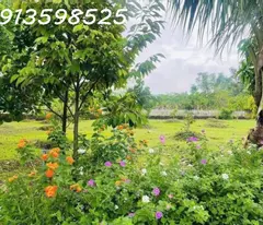 Nhà vườn nghỉ dưỡng 1700M2 bán đủ 290TR Sổ Sẵn lh: 0913598525