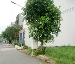 Chuyên mua bán đất nền đường Đào Sư Tích, 94m, chỉ 5.3 tỷ