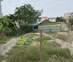 BÁN NHANH 112M ĐẤT CỔ DƯƠNG, TIÊN DƯƠNG, ĐÔNG ANH. 112M2, MT5M. ĐƯỜNG THÔNG Ô TÔ. GIÁ 6,72 TỶ CÓ
