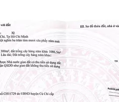 Cơ hội sở hữu đất thổ cư vị trí vàng tại Tân Phú Trung, Củ Chi, TP.HCM