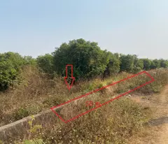 Cần Bán Gấp Khu Đất Kiên Lao-TX Chũ Bắc Giang-Rất tiềm Năng