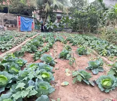 Bán đất thôn 3, Thạch Đà, Mê Linh, HN. Oto đỗ. Giá rẻ nhất khu vực. DT 82m2, giá 1,8 tỷ.