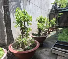 Bán nhà DT (15x21)m, Hẻm xe tải 6m Lê Trọng Tấn, Q. Tân Phú