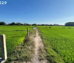 Đất thổ cư Phước Hội - TX LaGi chỉ 850 triệu full thổ cư sổ riêng