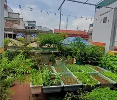 GIẢM SỐC 3 TỶ nhà 5 tầng * 51m2, đường Kim Giang, Quận Hoàng Mai sổ đỏ chính chủ