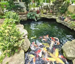 BIỆT THỰ GAMUDA GARDENS, HOÀNG MAI, 272M, MT 11M, BỂ BƠI, HỒ CÁ KOI, 67.8 TỶ