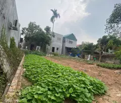 80M ĐẤT HIỀN NINH, SÓC SƠN. FULL THỔ CƯ. ĐƯỜNG THÔNG RỘNG 4M. NGAY SÁT ĐƯỜNG BỜ KÊNH ĐI VÕ NGUYÊN
