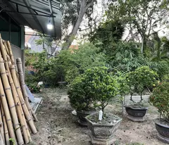 Bán đất, Nhà hoàn công, Mặt tiền 3/2 tt Hậu Nghĩa, Full thổ cư