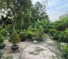 Bán đất, Nhà hoàn công, Mặt tiền 3/2 tt Hậu Nghĩa, Full thổ cư