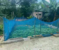 Bán đất tại TĐC Vai Réo, 93m2  giá 3.7 tỷ. Đất nằm trong lõi đô thị vệ tinh Hoà Lạc