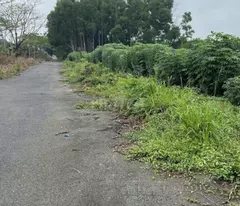 Bán đất Long Thọ, 1020m², mặt tiền đường nhựa N1, gần dự án HUD – Ngộp cần bán nhanh 2,4 tỷ