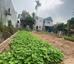 CẦN THANH KHOẢN NHANH 80M ĐẤT HIỀN NINH. FULL THỔ CƯ. MT 5,5M. ĐƯỜNG 4M. GIÁ 2,16 TỶ CÓ THƯƠNG
