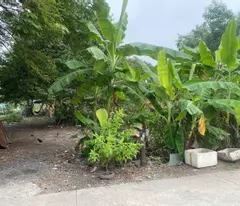 Bán nhanh lô đất 2000m2, Góc 2 mặt đường Xe Hơi , xã Bình Chánh, huyện Bình Chánh