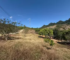 Bán Đất 9000m² Có 400m² Thổ Cư Tại Mộc Châu – View Cánh Đồng, Sẵn Nhà Sàn & Vườn Cây Trái