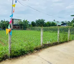 Sập Hầm Đất Đại Cường - Đại Lộc diện tích rộng xây nhà vườn, biệt thự