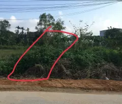 Bán đất mặt tiền đường Nguyễn Hoàng 188m2