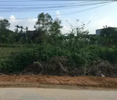 Bán đất mặt tiền đường Nguyễn Hoàng 188m2