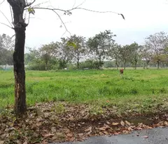 NGỘP, còn 3.65 tỷ, lô đất 85m2, ngang 5m, khu phân lô, đường ô tô 8m.