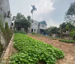 CƠ HỘI ĐẦU TƯ - LÔ ĐẤT ĐẸP TẠI HIỀN NINH, SÓC SƠN. 80M2, MT 5,5M. FULL THỔ CƯ. ĐƯỜNG 4M. GIÁ CHỈ