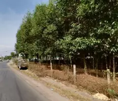 Bán đất Phú Đông, 257m², có sẵn 50m² thổ cư, đường ô tô né nhau, 1/ Hùng Vương – Giá 2,4 tỷ