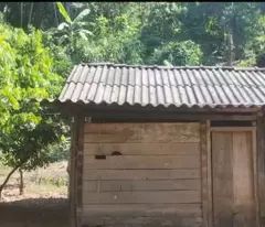 Bán mảnh đất 2000m2 có 400 ONT, cực rẻ tại Mộc Châu