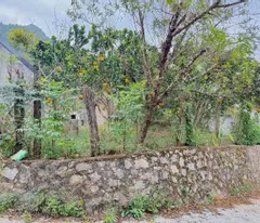 Đất nền trung tâm Thị Xã Mộc Châu vị trí đẹp, nhiều tiện ích xung quanh, giá cắt lỗ do chủ ngộp