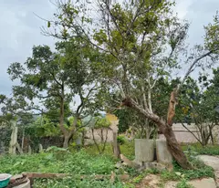 Đất nền trung tâm Thị Xã Mộc Châu vị trí đẹp, nhiều tiện ích xung quanh, giá cắt lỗ do chủ ngộp