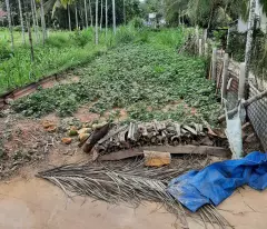 Bán đất Long Tân, 200m², full thổ cư, Giá Tốt Nhất Khu Vực– Giá 1,35 tỷ