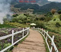 Bán lô đất 5000m2 có 400 thổ cư , view cực đẹp tại TT Mộc Châu