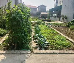 BÁN ĐẤT 2 MẶT TIỀN - TỔ 9, THỊ TRẤN QUANG MINH, MÊ LINH, HÀ NỘI