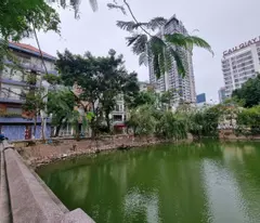 Hiếm đường Cầu Giấy 48m2, 3T, MT5.2m view Hồ Quận Ủy lô góc 3 thoáng vỉa hè ô tô
