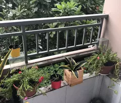 Nhà Hẻm Xe Hơi Tô Hiến Thành, P.15, Q.10 - Diện Tích 3.78 x 22m - Giá 16.7 Tỷ