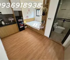 Siêu phẩm-800 triệu/năm-13 phòng-ô tô đỗ cửa-Minh Khai, Hai Bà Trưng