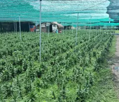 SIÊU PHẨM LÔ GÓC 2 MẶT TIỀN – VỊ TRÍ VÀNG TẠI TÂN PHÚ TRUNG, CỦ CHI