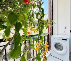 SMARTHOME☘️BÁN NHÀ 2 TẦNG✨2PN,PHAN HUY ÍCH, P12 GÒ VẤP, NHỈNH 3 TỶ