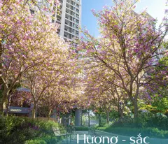Chỉ từ 39 triệu/m², sở hữu căn hộ đẳng cấp tại Hải Phòng – Cơ hội đầu tư không thể bỏ qua!
Thu về