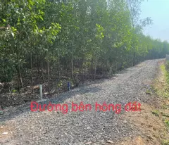 Lô đất đẹp 3 mặt tiền giá đầu tư tại Xã Tân An Đường Cộ Cây Xoài Vĩnh Cửu Đồng Nai