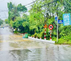 🔸 BÁN MẶT TIỀN TAM THAI 19m5 -CẠNH VÕ VĂN KIỆT , AN TÂY , TP HUẾ❌