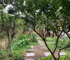 Bán đất trục chính Yên Bài Ba Vì,gần Đại Học Quốc Gia,kinh doanh bất chấp,550m MT10m,5.8 tỷ