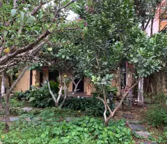 Bán đất trục chính Yên Bài Ba Vì,gần Đại Học Quốc Gia,kinh doanh bất chấp,550m MT10m,5.8 tỷ
