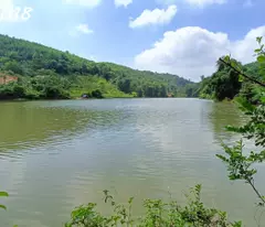 Bán đất nhà vườn Tuân Lộ Tân Lạc,view hồ thủy nông,gần TT Mãn Đức,1.1ha,3 tỷ dư