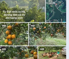 Bán đất nhà vườn Tuân Lộ Tân Lạc,view hồ thủy nông,gần TT Mãn Đức,1.1ha,3 tỷ dư