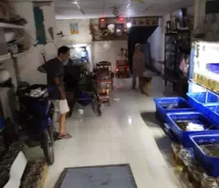 Bán Nhà Hẻm Xe Hơi 8m 77m² Lê Thúc Hoạch Tân Phú Chỉ 87 Triệu/M²