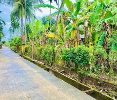 BÁN ĐẤT GIÁ TỐT - ĐIỆN HỒNG, ĐIỆN BÀN, QUẢNG NAM