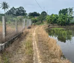 Bán gấp 2.8 sào đất ONT Tân An - TX LaGi giá ngộp View Sông Dinh