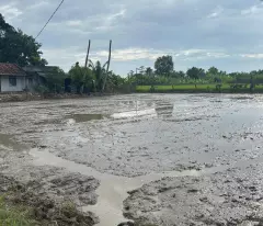 Bán gấp 2.8 sào đất ONT Tân An - TX LaGi giá ngộp View Sông Dinh