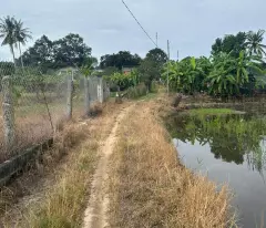 Bán gấp 2.8 sào đất ONT Tân An - TX LaGi giá ngộp View Sông Dinh