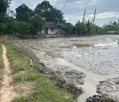 Bán gấp 2.8 sào đất ONT Tân An - TX LaGi giá ngộp View Sông Dinh