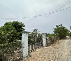 Bán đất 3484m2 đất ONT Tân Phước - TX LaGi cách QL55 600m giá rẻ nhất