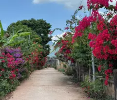 Cơ hội sở hữu nhà mái thái tại Mộc Châu giá rẻ, nhà mới xây, Gần trung tâm du lịch Mộc Châu.